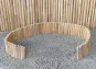 morepic-3